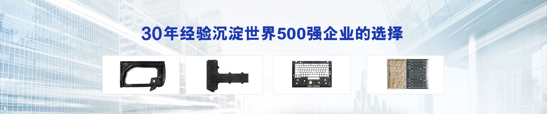30年经验沉淀，世界500强企业的选择