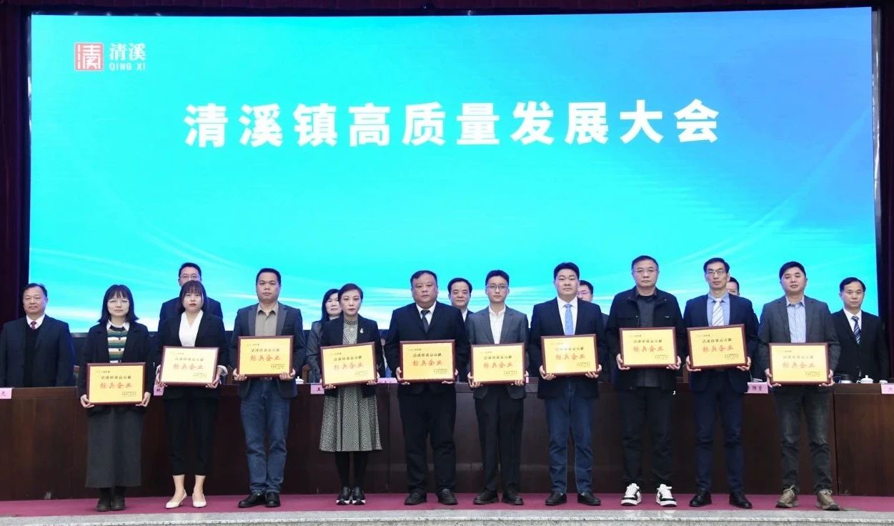 喜讯：永利皇宫手机app科技荣获2024年度“清溪镇主营业务收入及效益贡献标兵企业”