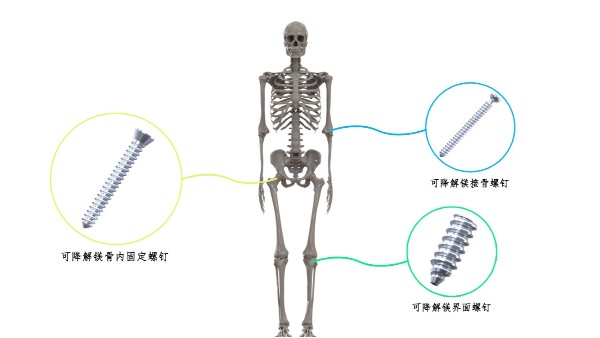 喜讯：永利皇宫手机app科技荣获2024中华医学科技奖